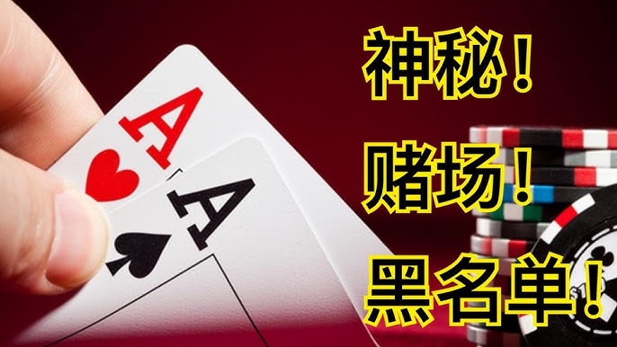 解密白菜论坛多平台对接指南：轻松上手的秘密-博彩论坛-白菜社区论坛